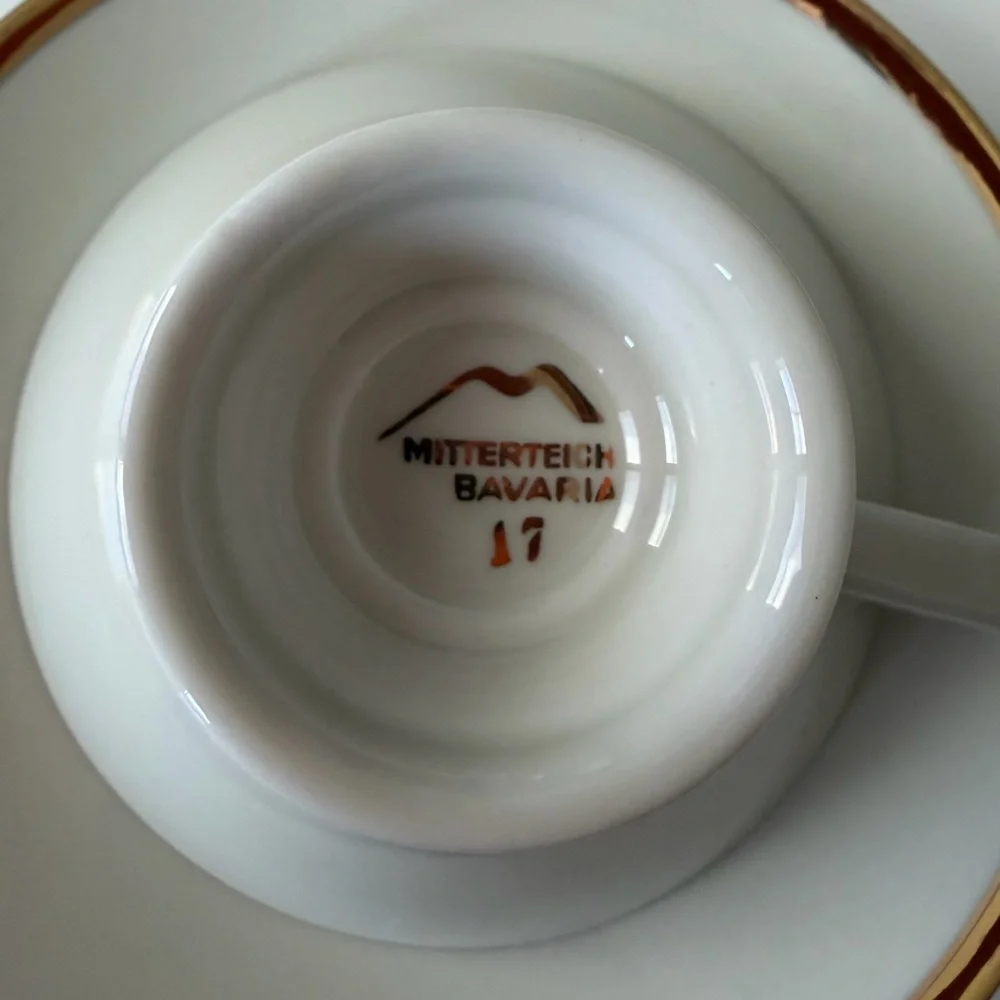 Vintage Mitterteich Bavaria Elegant Porcelain Tea Cup and Saucer Set